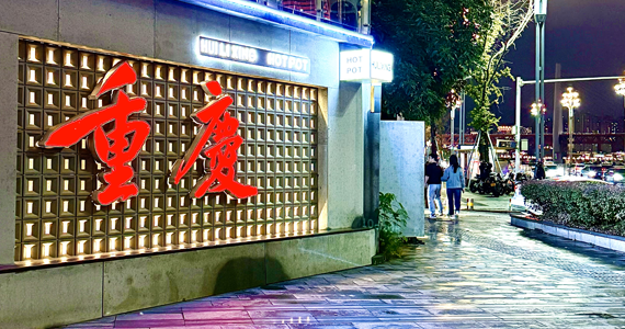 重庆net域名信息查询