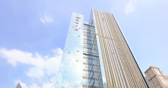 上海net域名信息查询