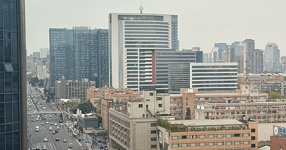 兰州net域名查询