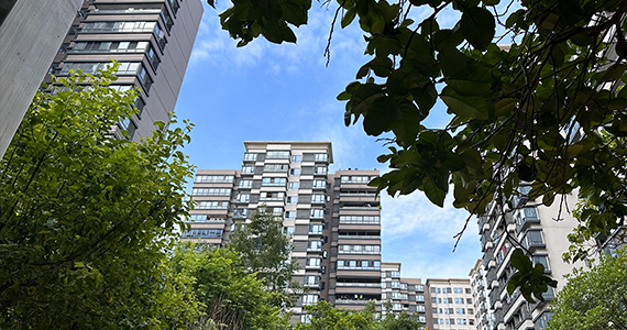 苏州net域名查询