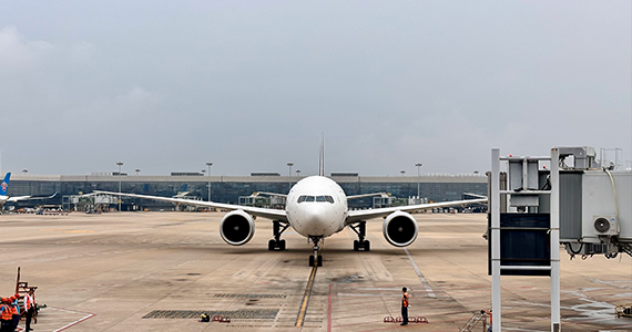 珠海net域名查询