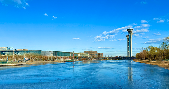 济南net域名信息查询