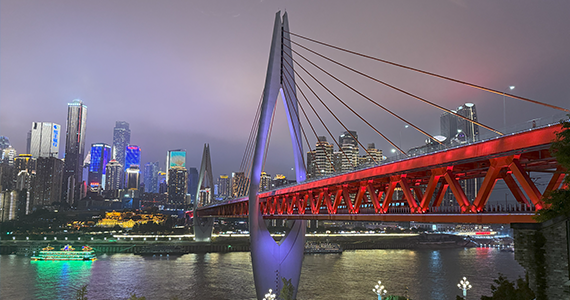 南通net域名查询