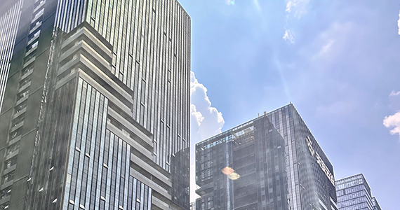 天津net域名信息查询